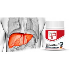 Лебавитал LEBAVITAL® для печени, 30 капсул, Heutepharm