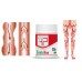 Центавен ZENTAVEN® для вен, 30 капсул, Heutepharm
